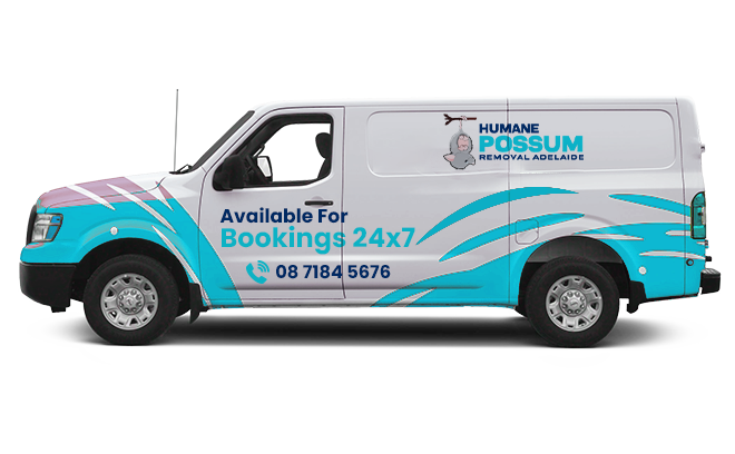 Possum Van